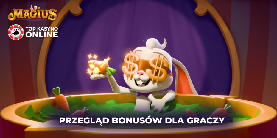 Anjouan Licencja