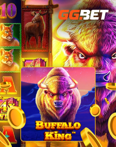 casyno online za pln