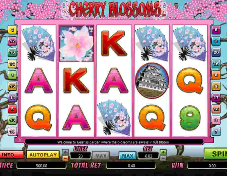 Kwiaty wiśni Kwiaty wiśni