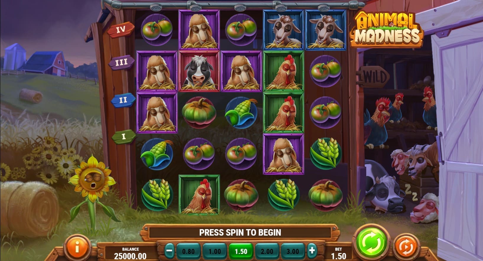 Zwierzęca Szaleństwo Zwierzęca Szaleństwo