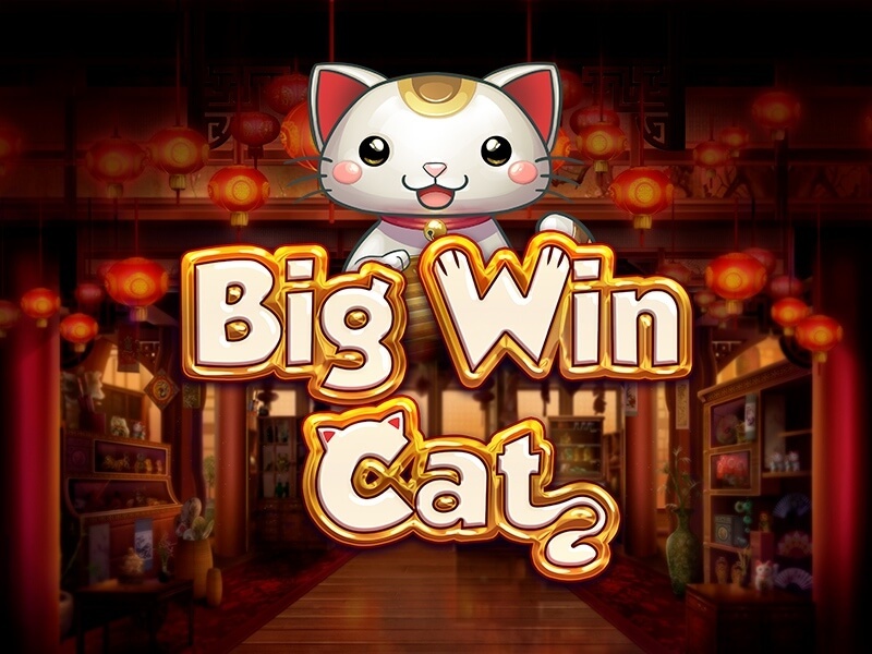 Wielka Wygrana Kot Wielka Wygrana Kot