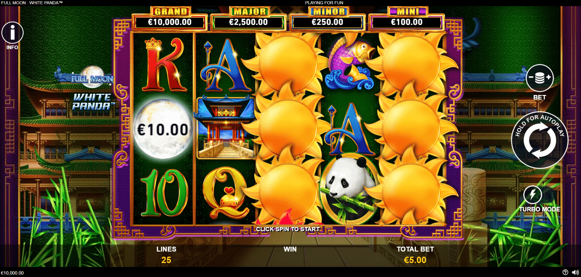 Pełnia Księżyca Biały Panda Pełnia Księżyca Biały Panda