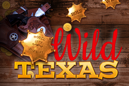 Dziki Teksas