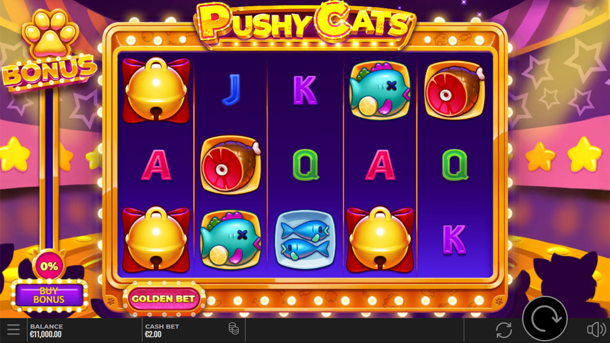 Recenzja Pushy Cats Recenzja Pushy Cats